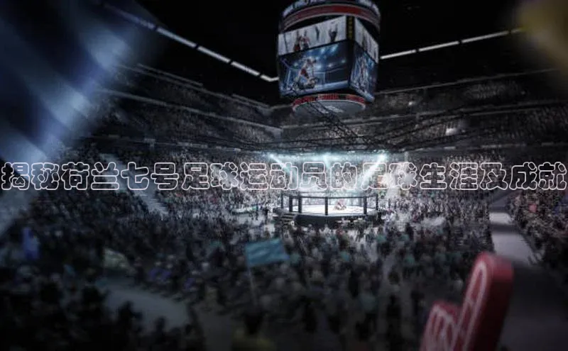 ng28官网入口下载百度人工翻译揭秘荷兰七号足球运动员的足球生涯及成就