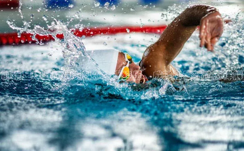 NGNG28官网登录福石控股郭皓足球运动员资料：生涯经历、成就和最新动态详解