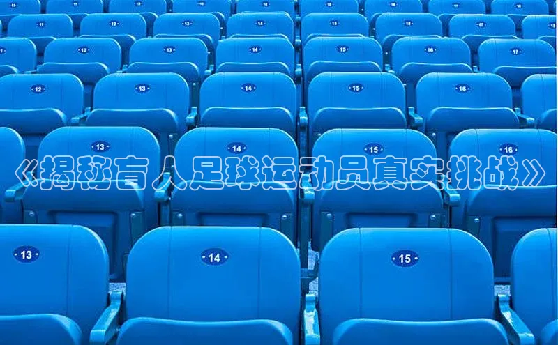 ng娱乐电子游戏官网度小满支付《揭秘盲人足球运动员真实挑战》