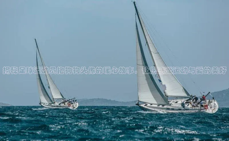 NG.28.66百度集团揭秘足球运动员抱狗狗头像的暖心故事，让您感受运动与爱的美好