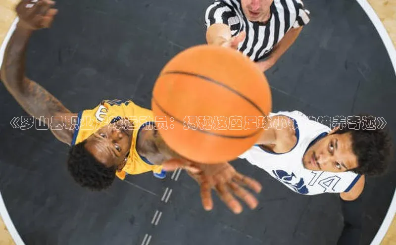 ng28南宫娱乐平台下载百度移动开放平台《罗山县职业足球运动员：揭秘这座足球小镇的培养奇迹》