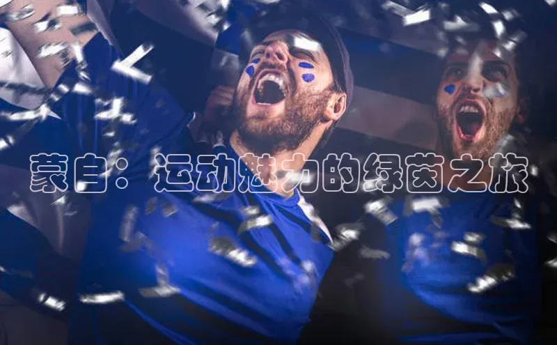 蒙自：运动魅力的绿茵之旅