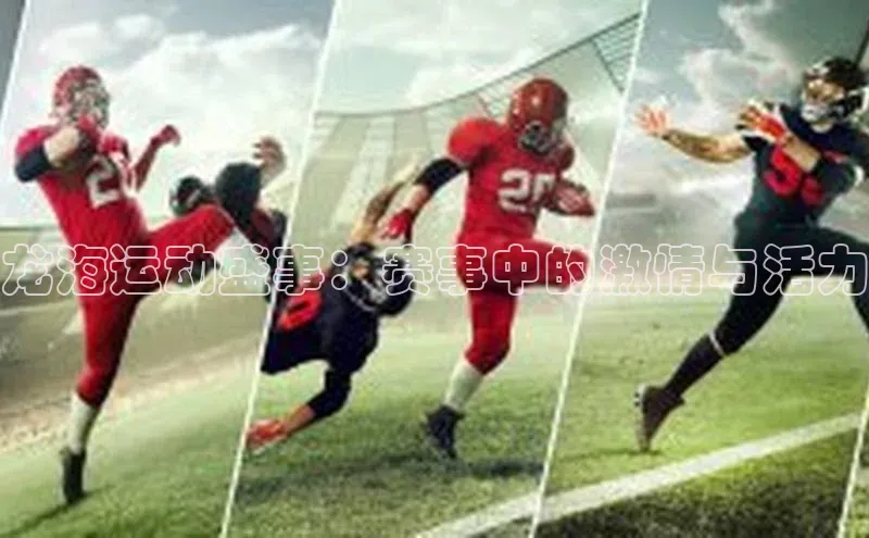 龙海运动盛事：赛事中的激情与活力