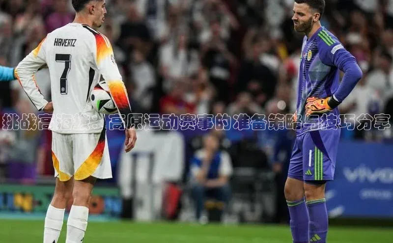 挑战高海拔：高原运动赛事的准备策略与技巧分享