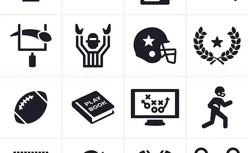 罕见的运动赛事：一次独特体验的之旅