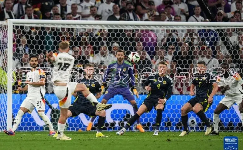 《国际运动赛事大全：与鉴赏》