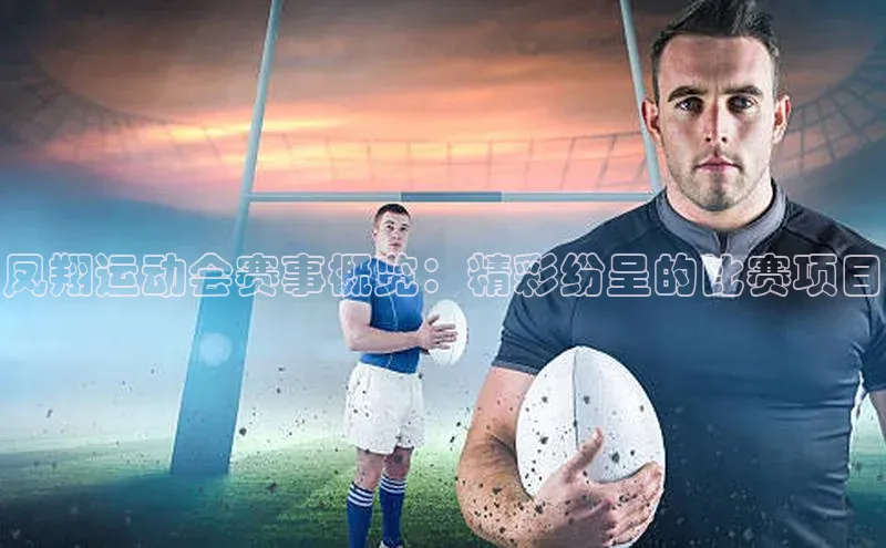 凤翔运动会赛事概览：精彩纷呈的比赛项目