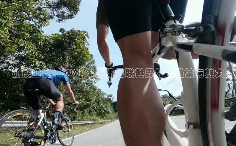 动感盛宴：2023年国际足联世界杯的激情与魅力