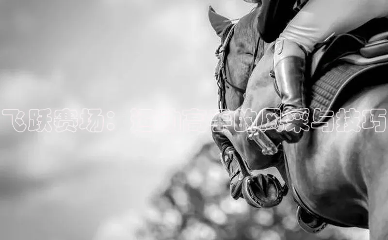 飞跃赛场：运动高手的风采与技巧