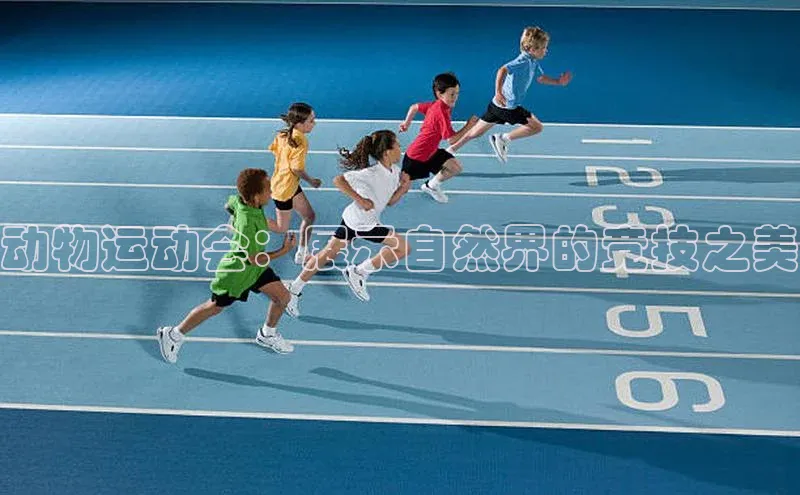 动物运动会：展示自然界的竞技之美