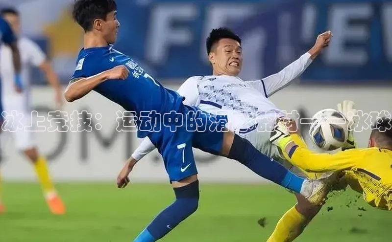 冰上竞技：运动中的滑冰器材——冰球