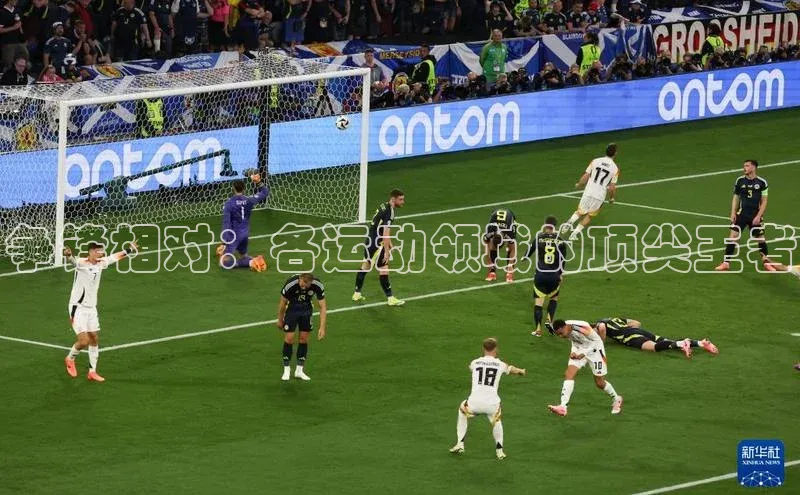 争锋相对：各运动领域的顶尖王者