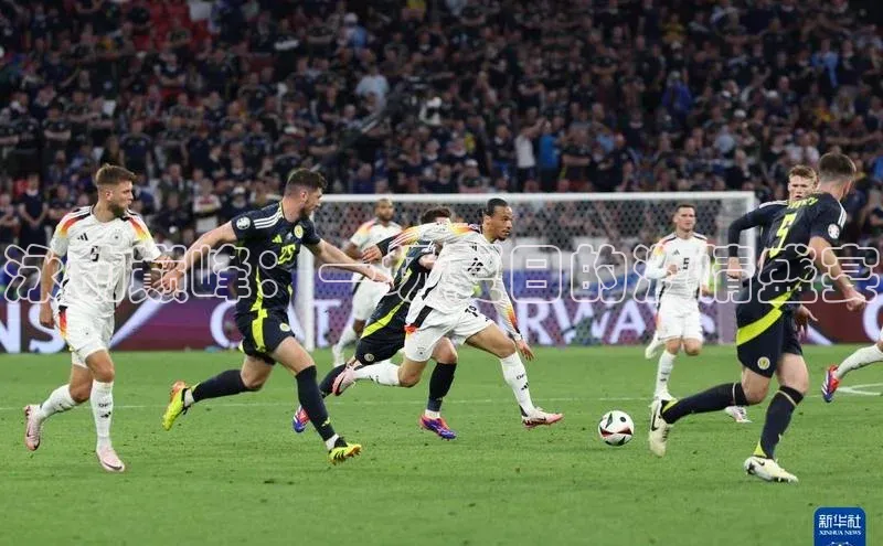 泳动巅峰：一场夏日的激情盛宴