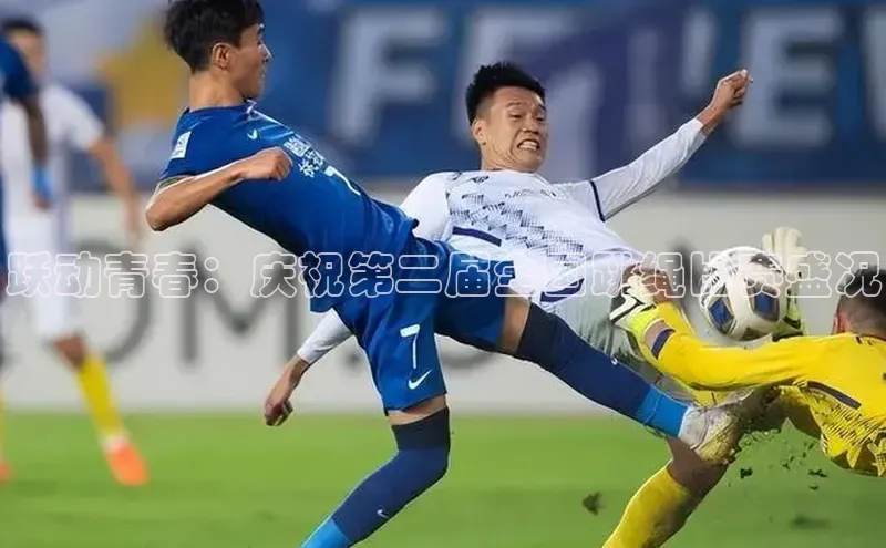 跃动青春：庆祝第二届全国跳绳比赛盛况