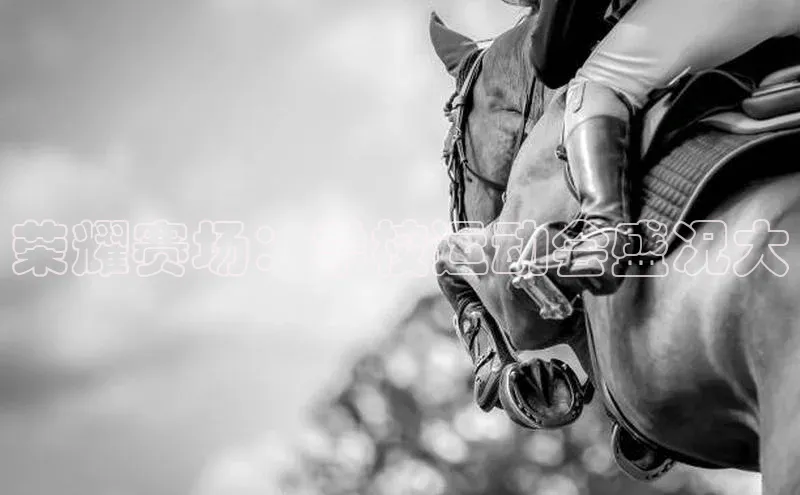 NG28注册平台入口